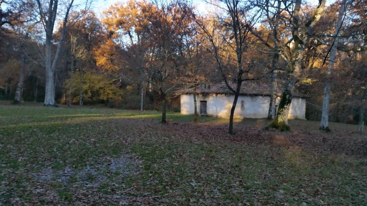 Errotazar Apartamento Rural I Alsasua Kültér fotó